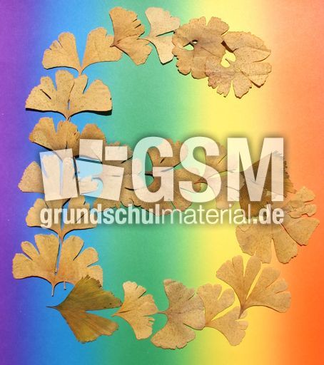 G-wie-Ginkgo.jpg